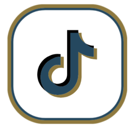 Alt Image